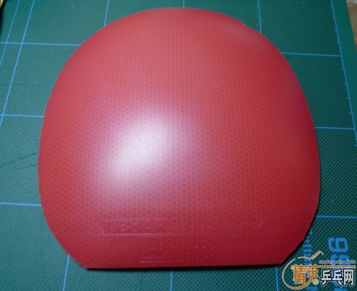 CALIBRA-LTsinus470ף37NEOʡһ100