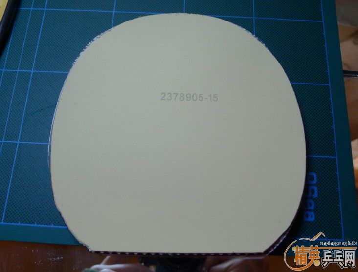 CALIBRA-LTsinus470ף37NEOʡһ100