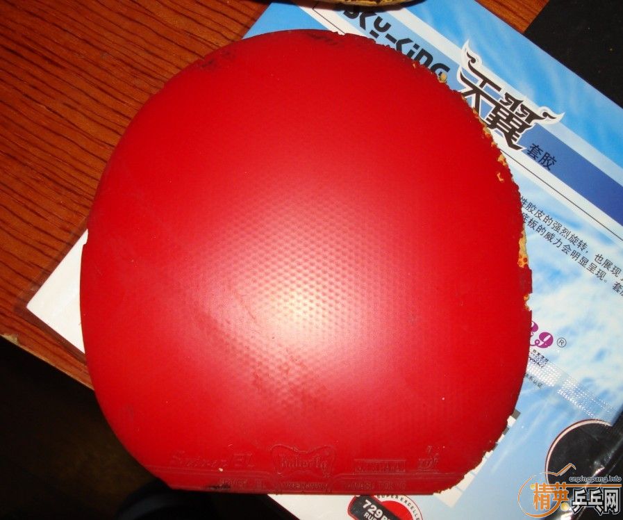 99���룺2�� EL 1��FX