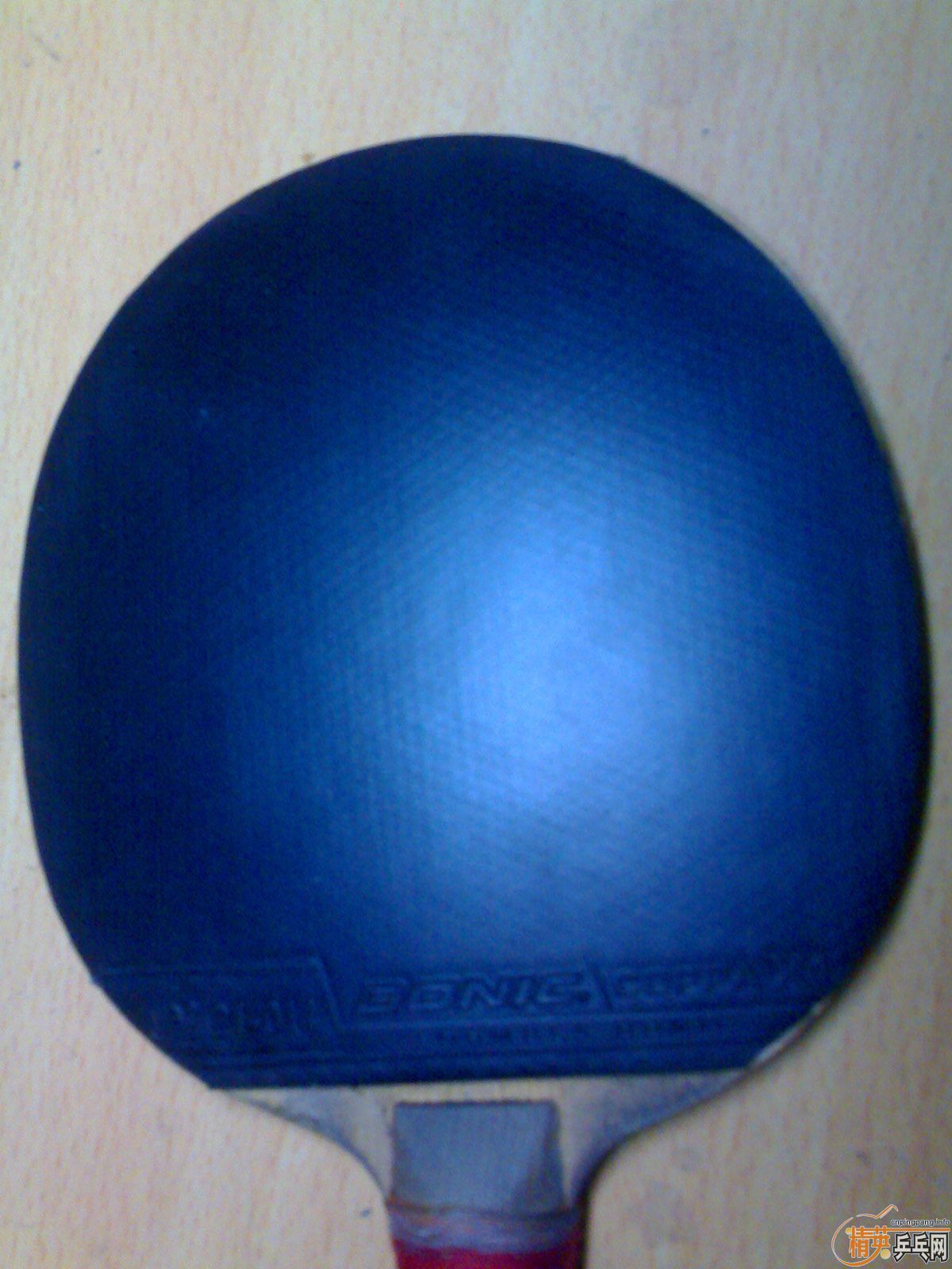 �����֡��������x1����������2 ������ ������� ����zap ��ӭ���ָ�㣡