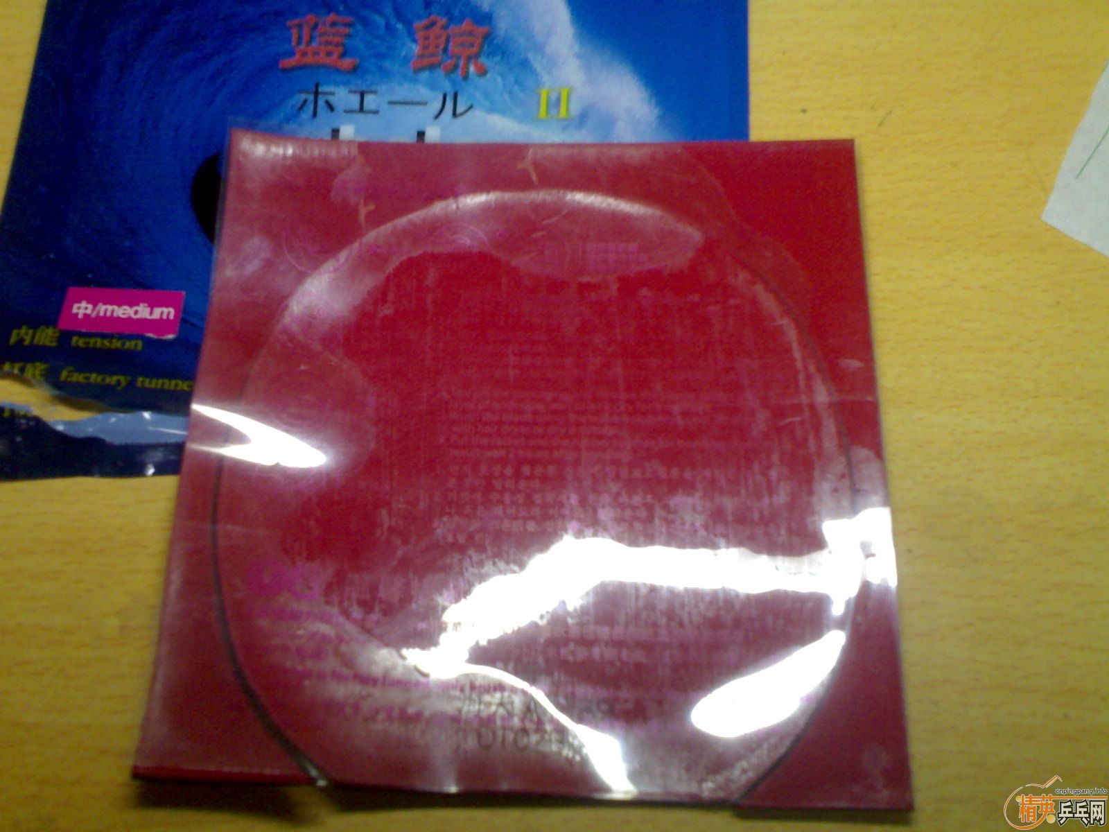 �����֡��������x1����������2 ������ ������� ����zap ��ӭ���ָ�㣡