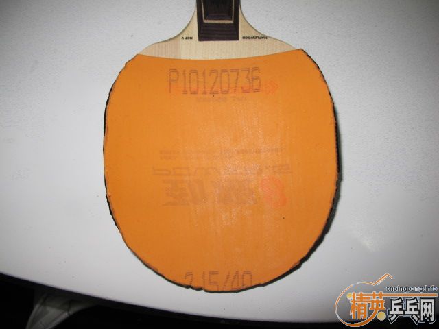 ֧������ŷ���ľ5ֱ��