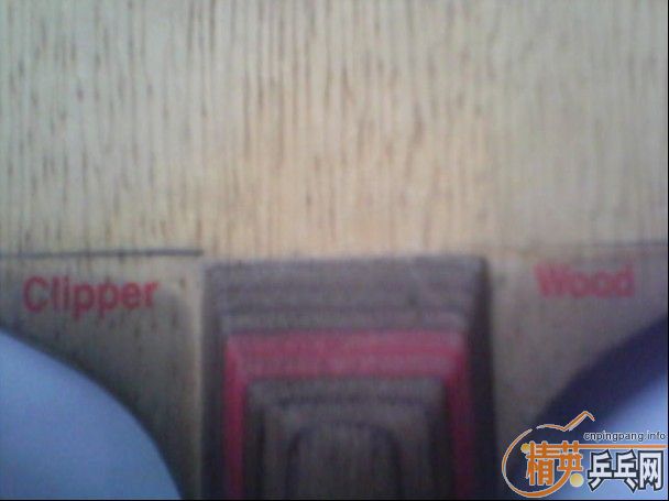 �����û�ľʾCL��������β��