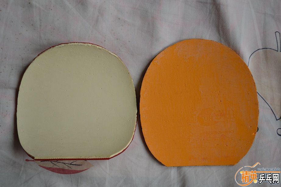 DHS��骴�����-����Ʒ