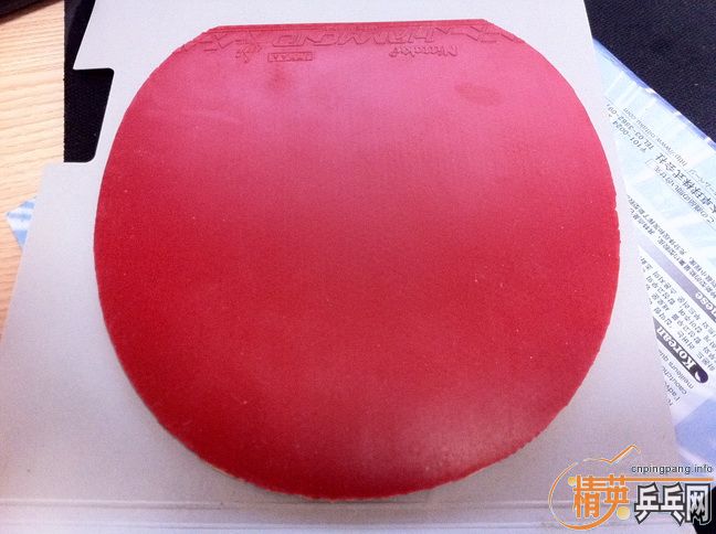 ���ѷ����������ý�Ƥ�������/T05/S1/����