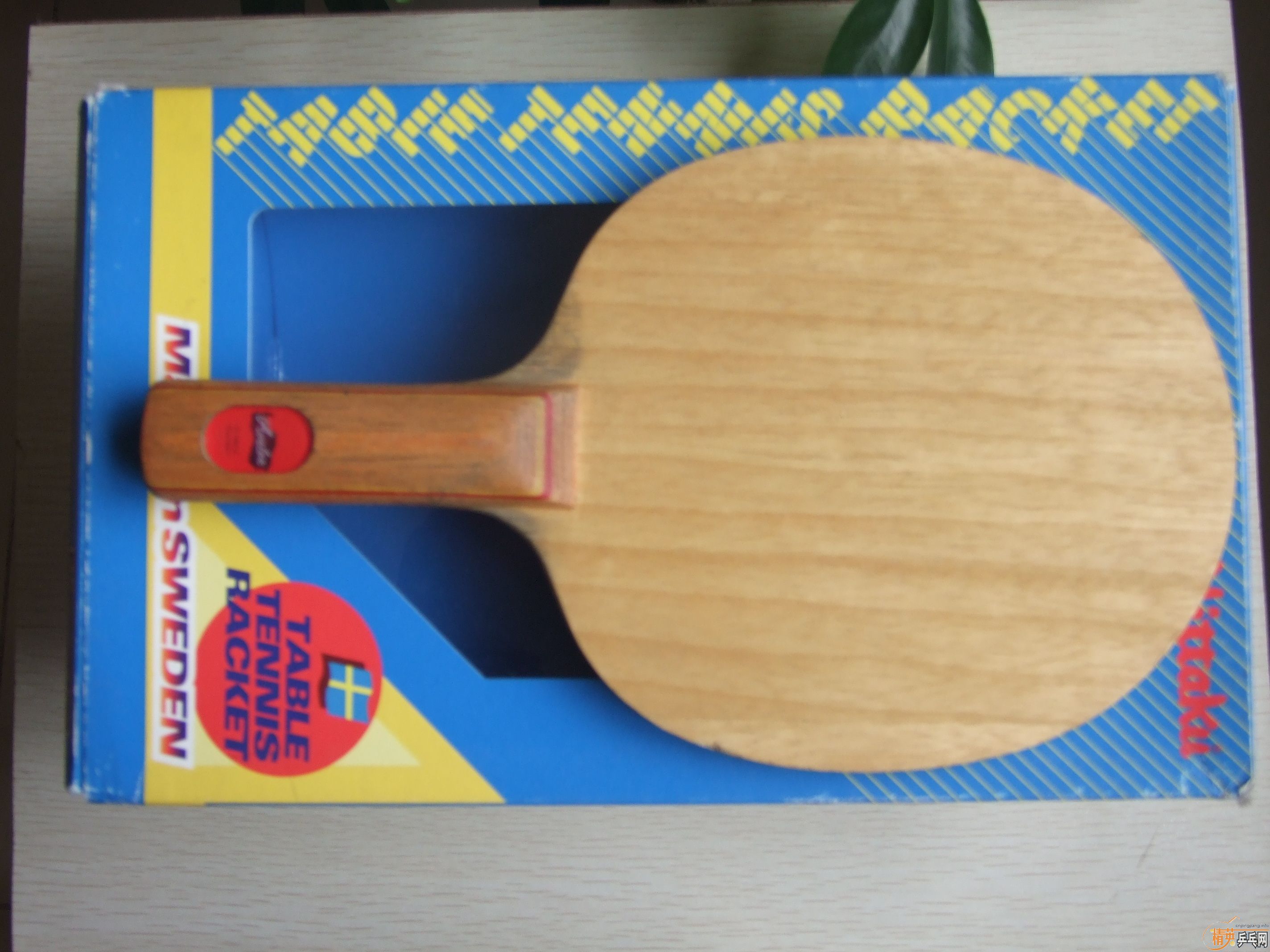 ��������Ƭ