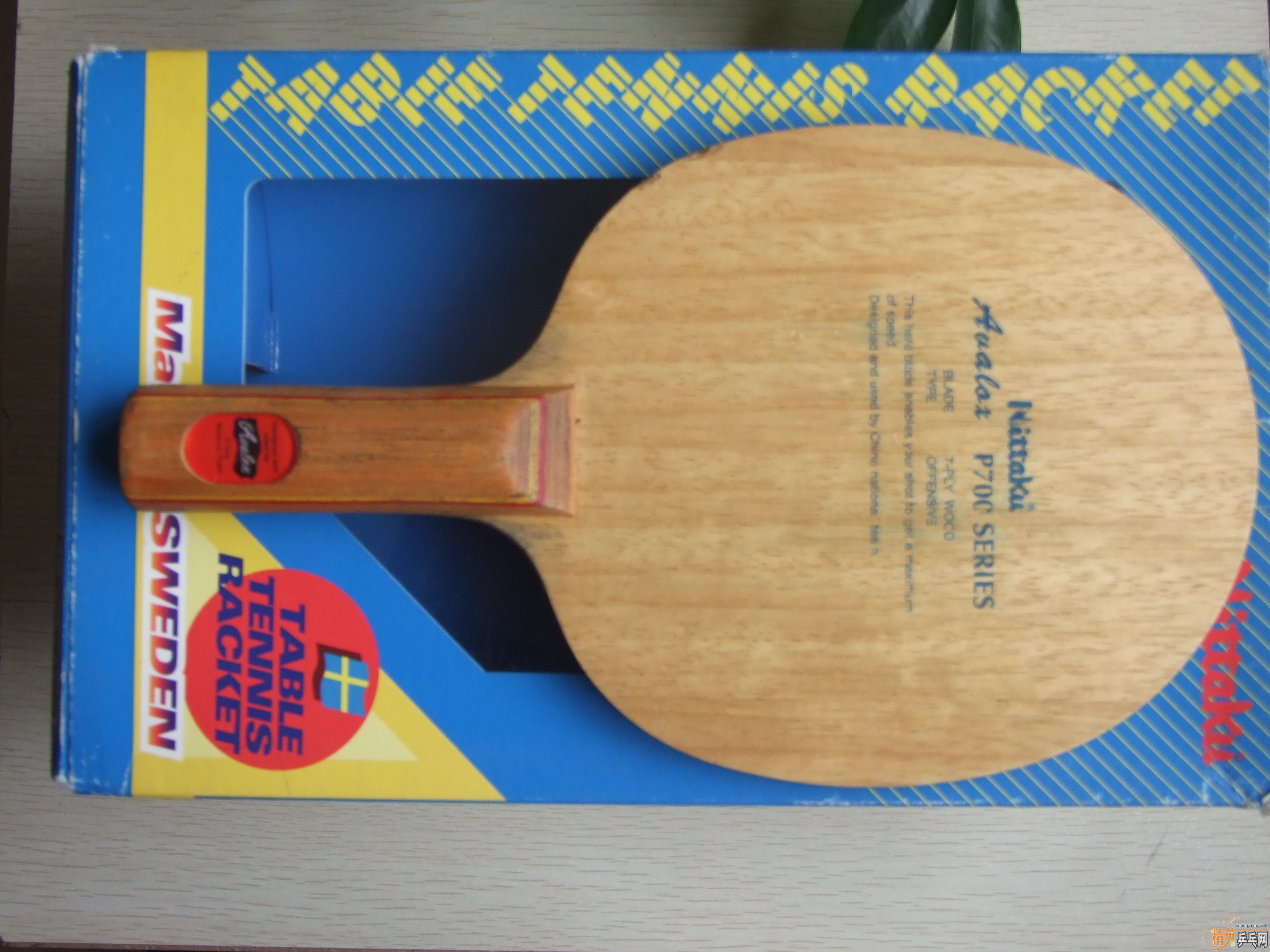 ��������Ƭ