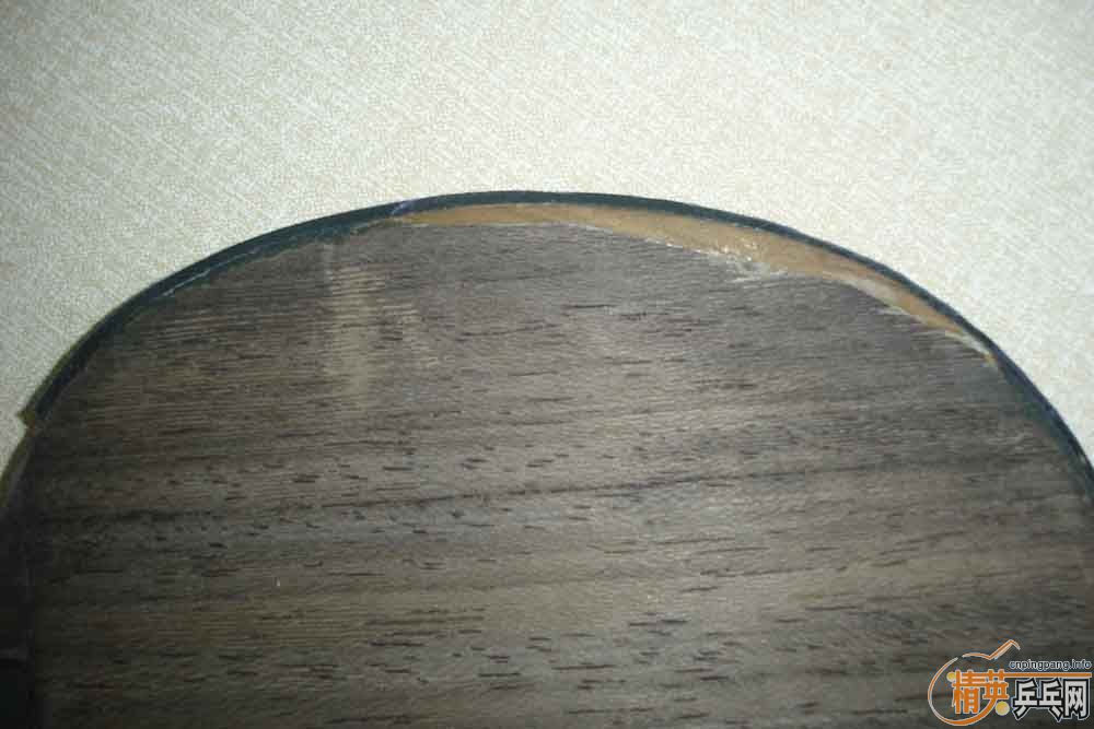 �����룩08�������230����-->qupiterת��