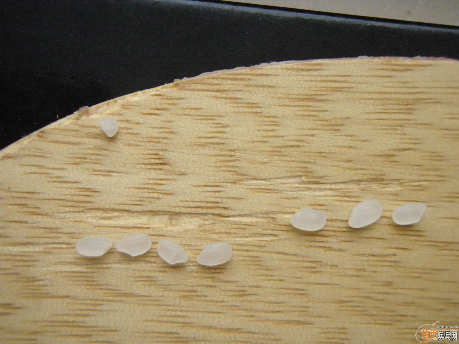 550��˳�᣺���ֻ��OC-WRB+�л�CL