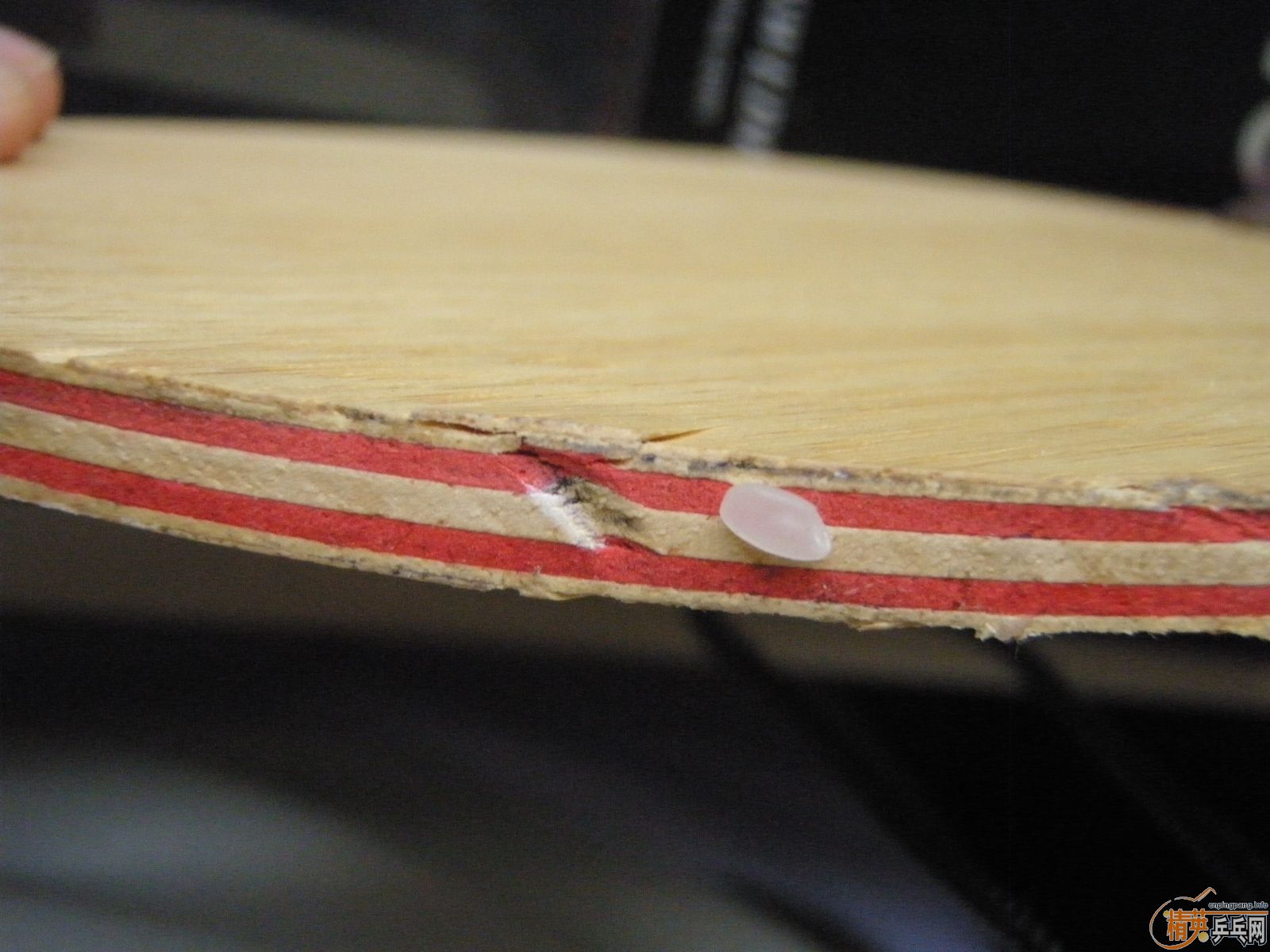 550��˳�᣺���ֻ��OC-WRB+�л�CL