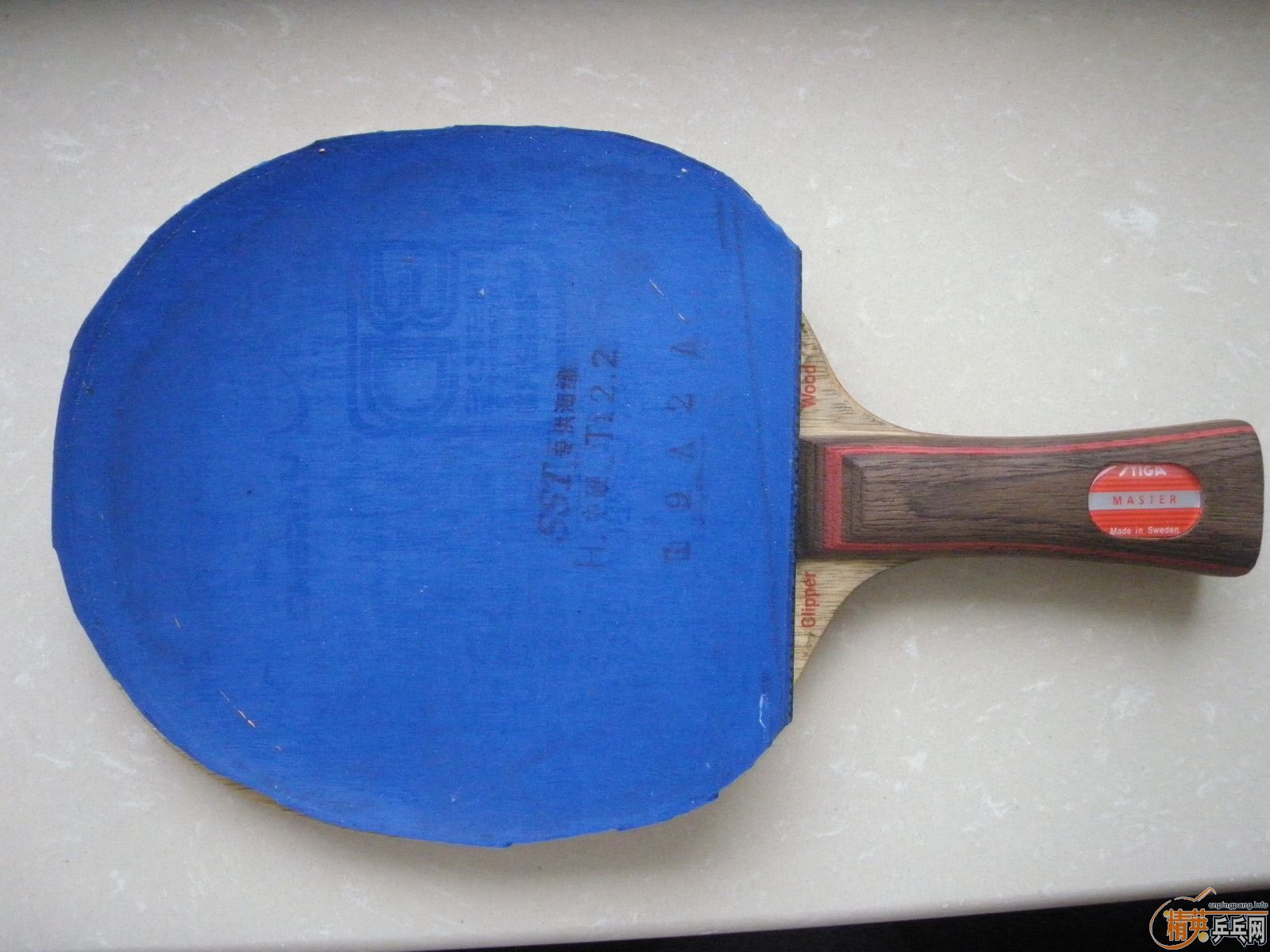 550��˳�᣺���ֻ��OC-WRB+�л�CL�������׺ͽ�Ƥ