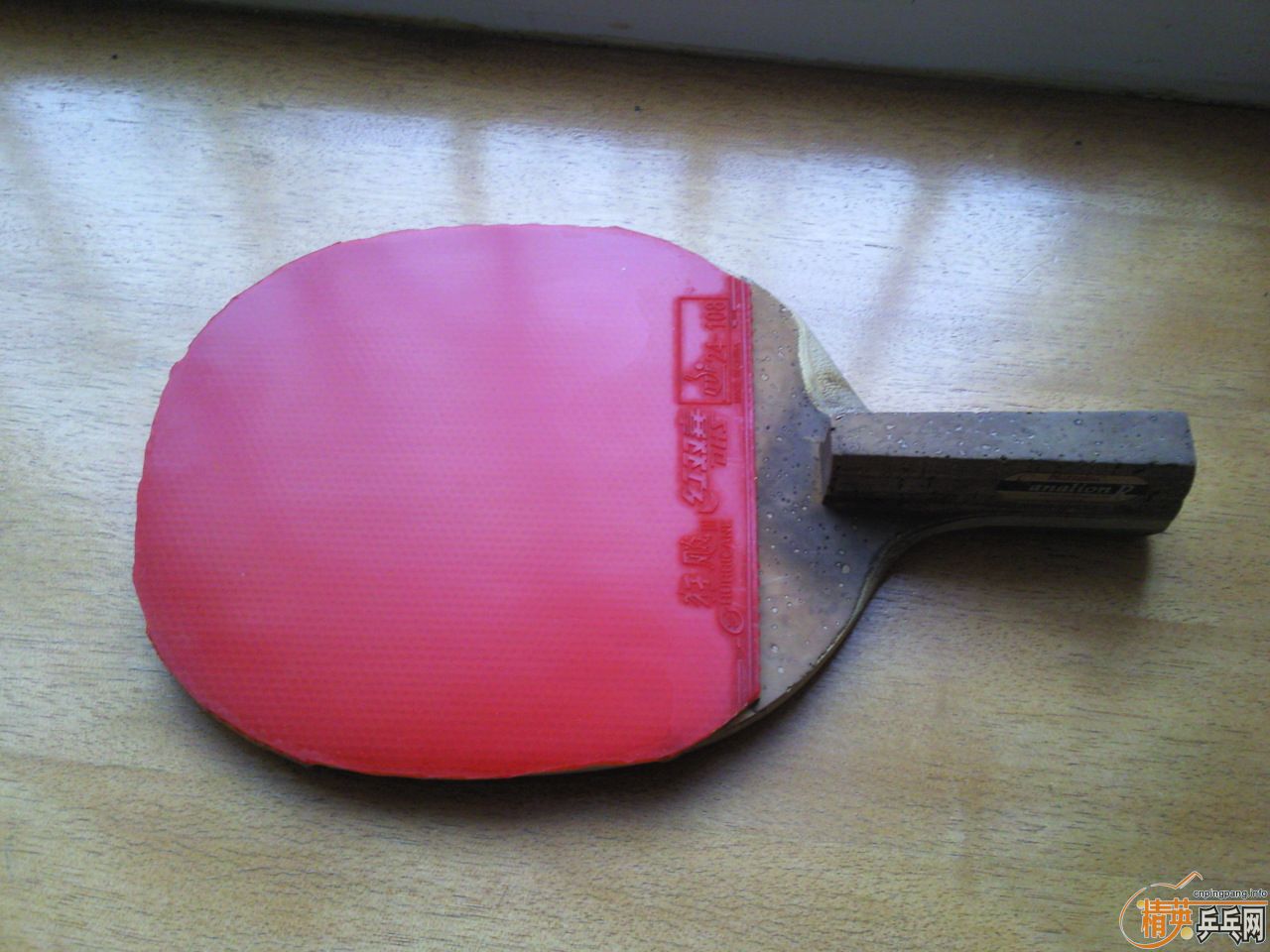 �պ����ģ���ͷ�ǰ�����������˰��ӣ�����C-100+sanalion R.