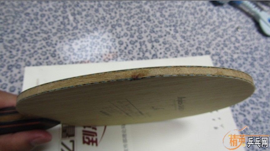 ���¿���  ֧��������������