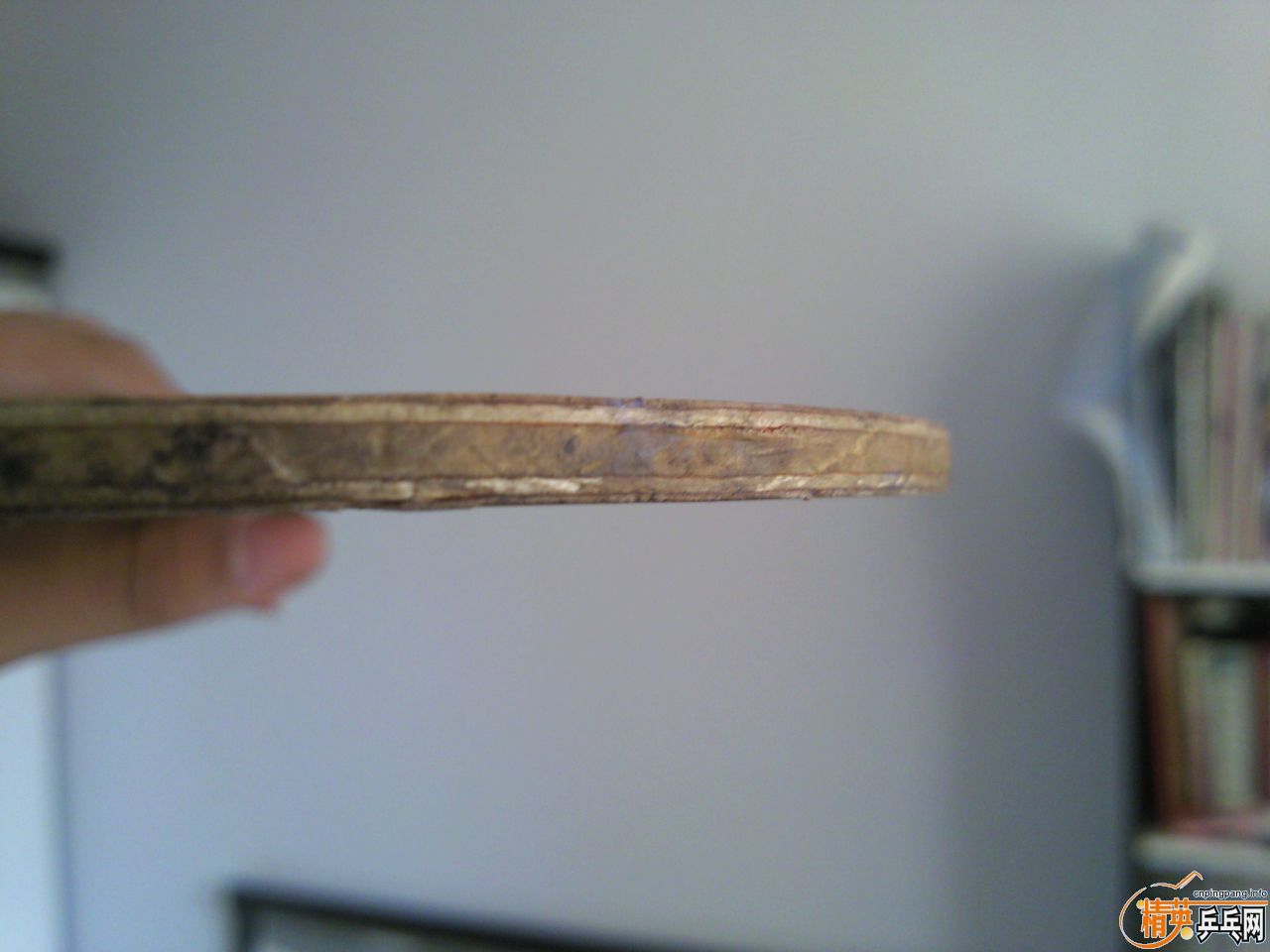 �պ����ģ���ͷ�ǰ�����������˰��ӣ�����C-100+sanalion R.