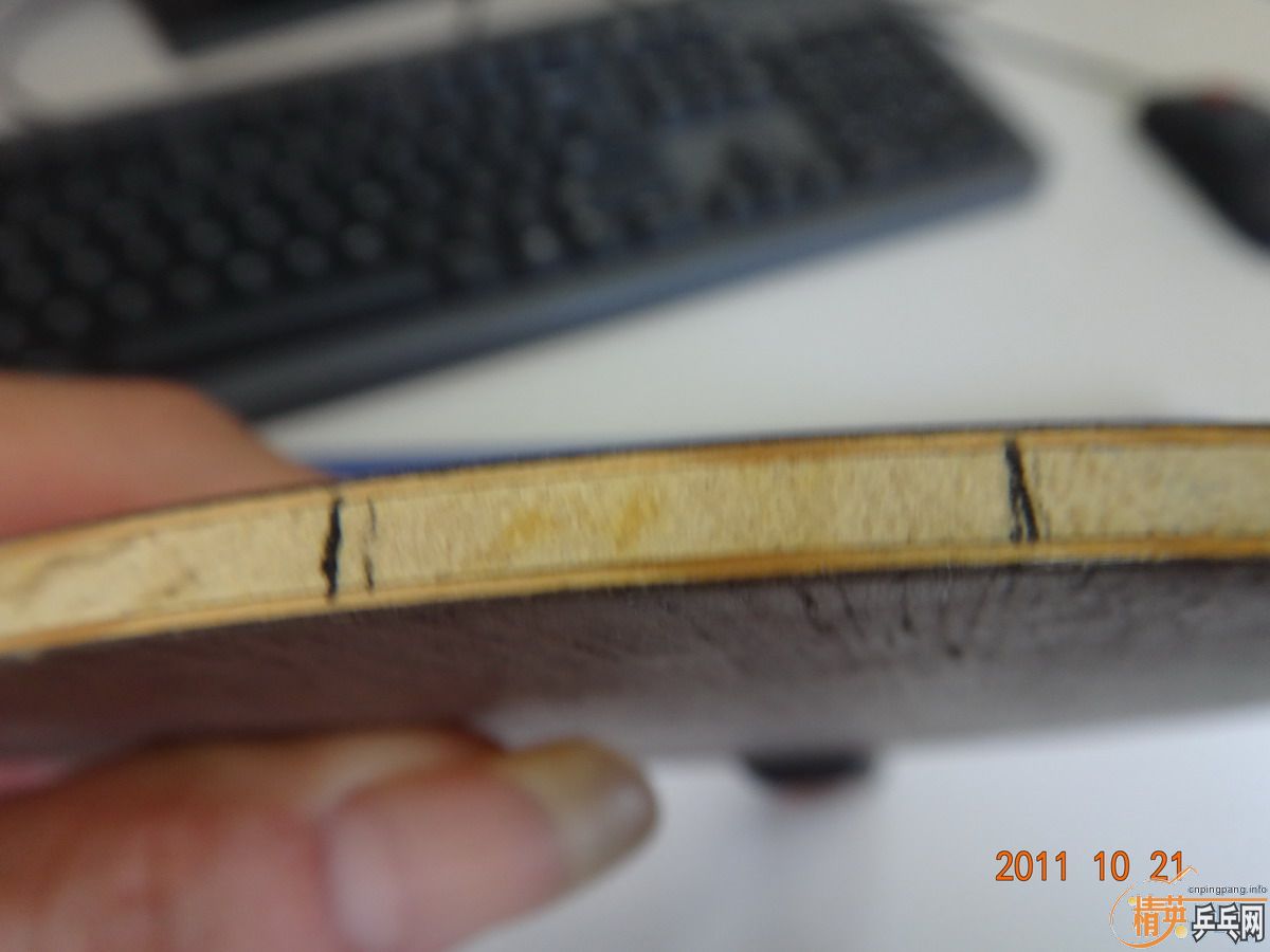 05�����OCCR�й�ʽС�ֱ��л���һֻ�ղ��ţ���ɼ�ܰ�