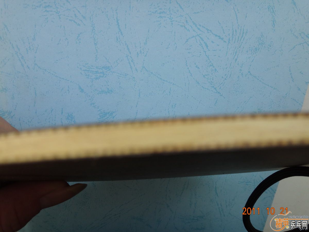 05�����OCCR�й�ʽС�ֱ��л���һֻ�ղ��ţ���ɼ�ܰ�