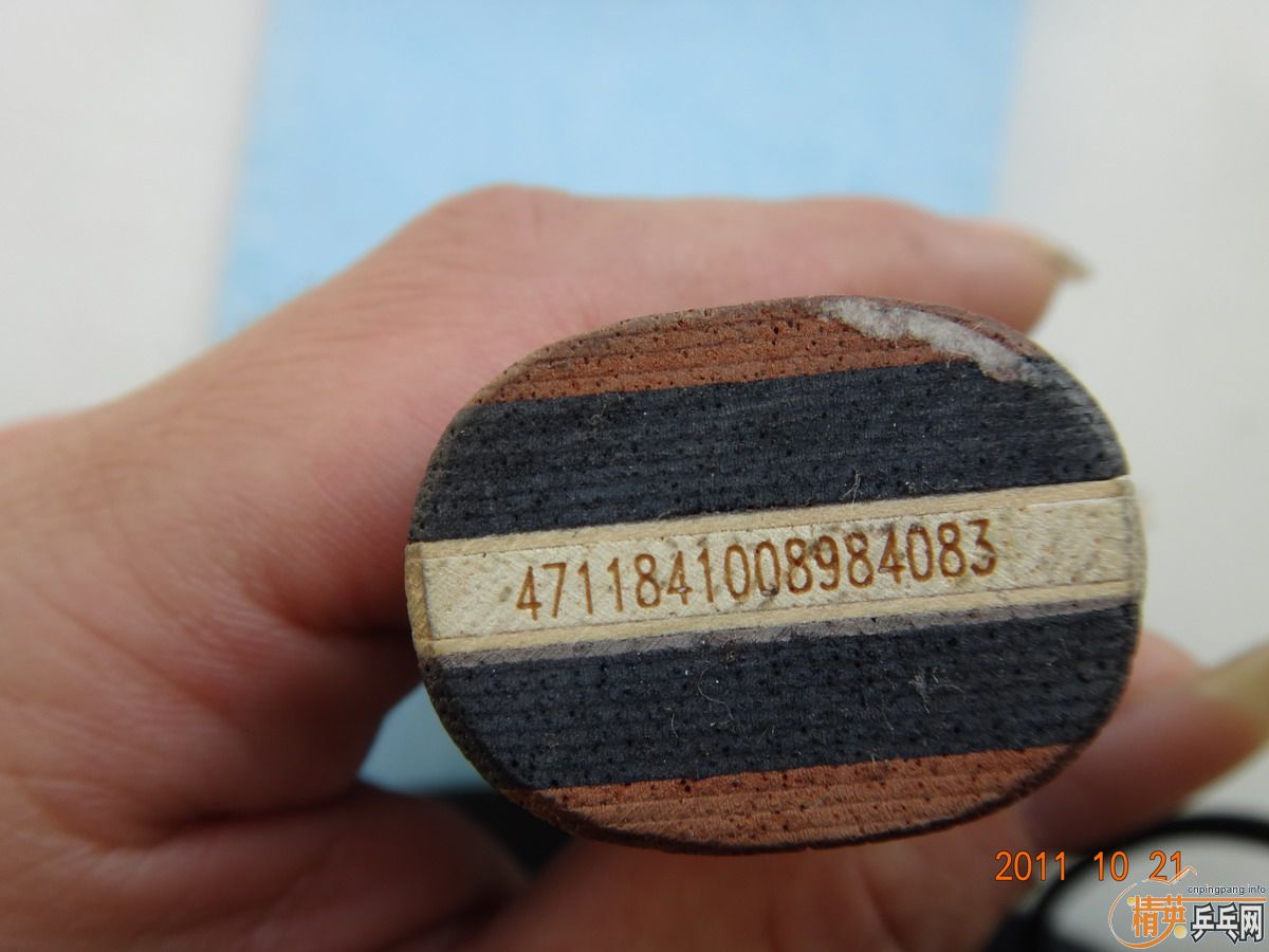 05�����OCCR�й�ʽС�ֱ��л���һֻ�ղ��ţ���ɼ�ܰ�