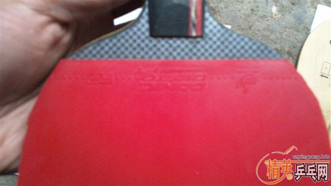 ͦ�� ��̼�ʼӶ����F1 400Ԫ�����г�ֵ����