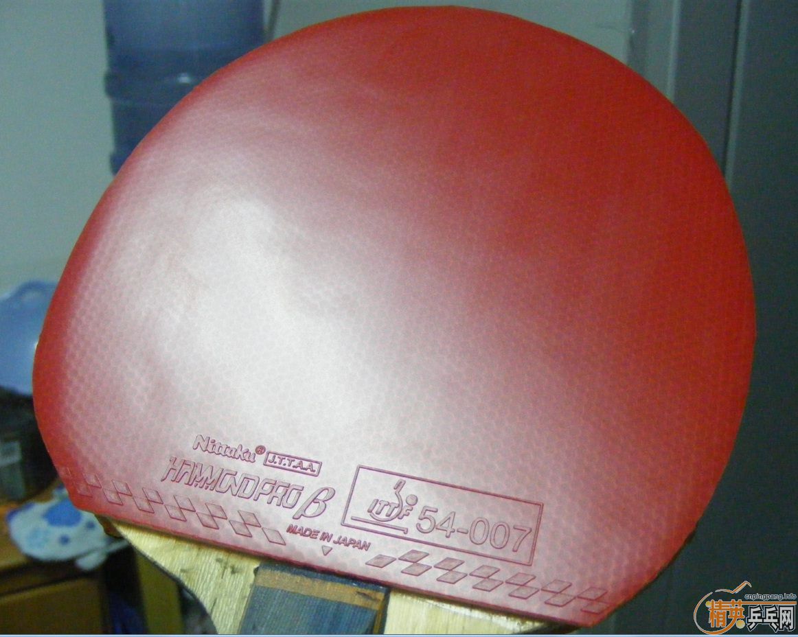 220˳����ʳ�һ��ֻ�����εĹ��ɵ±���