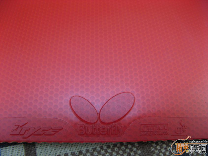 ������ͺ�2.1