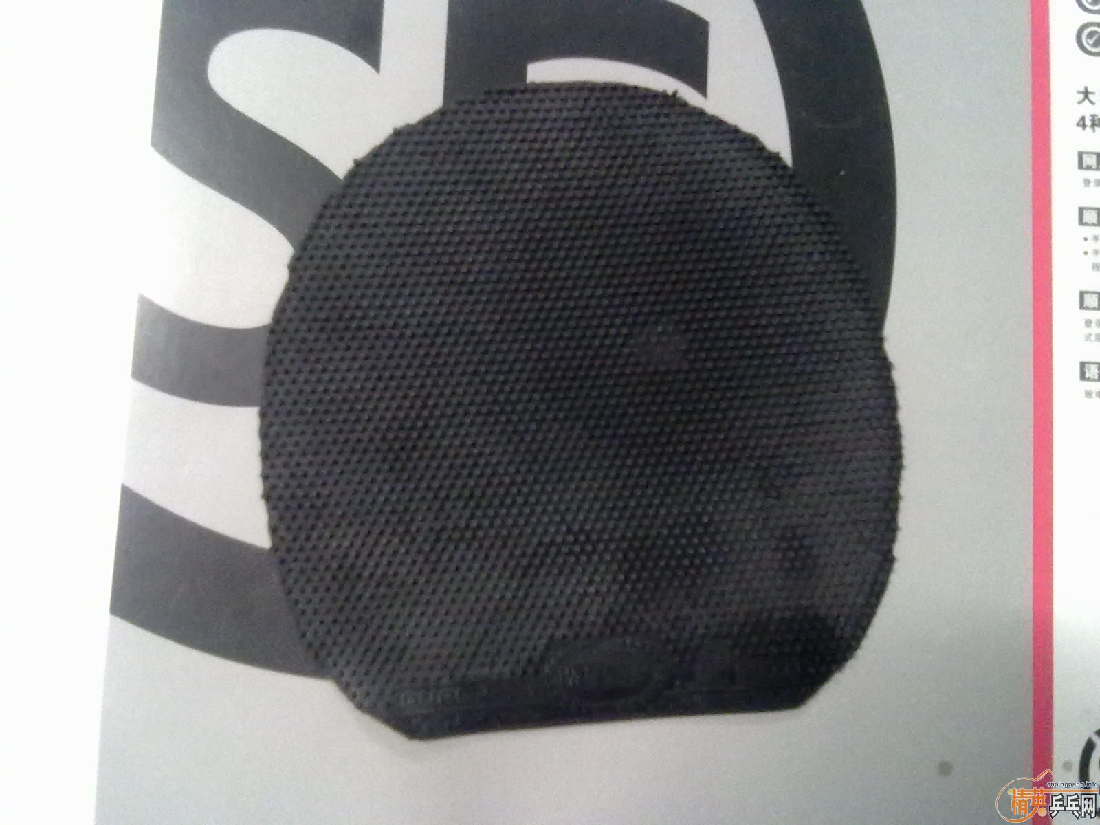 ����TSP R-1����������ɫ30Ԫ ����ѵ����15Ԫ