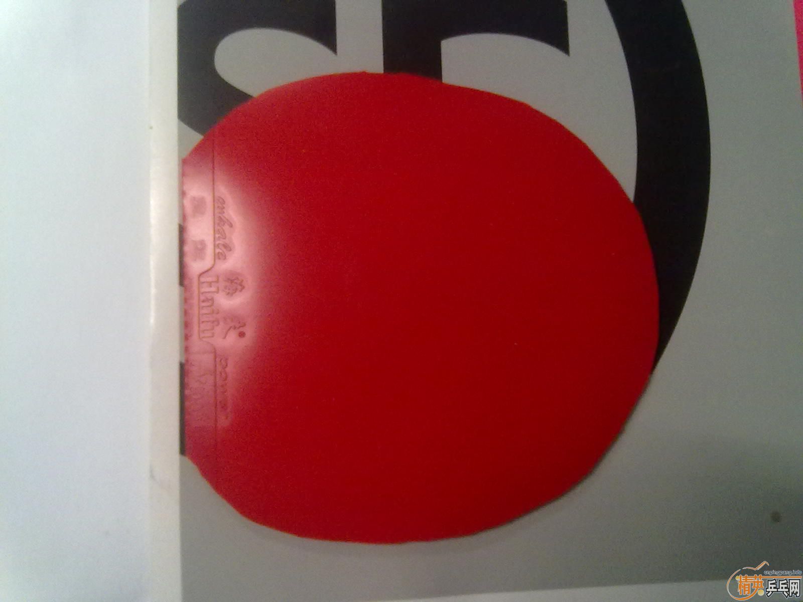 ����TSP R-1����������ɫ30Ԫ ����ѵ����15Ԫ