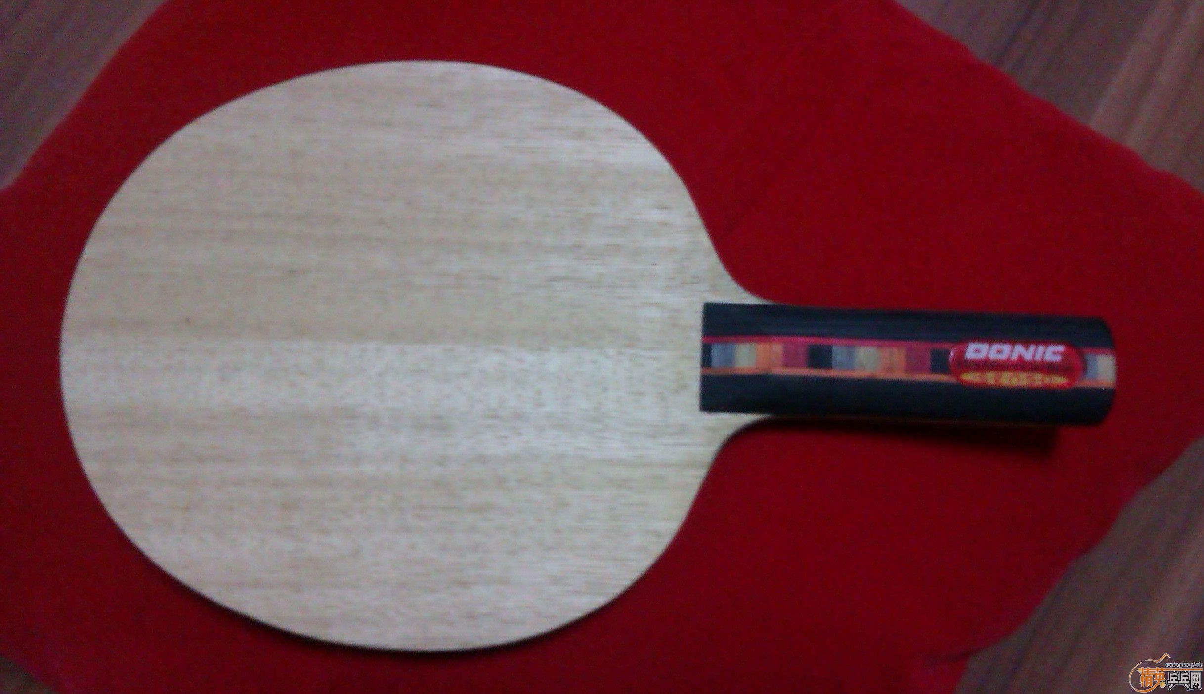 ŷ������ STˮ�ΰ���̼   ��֧����