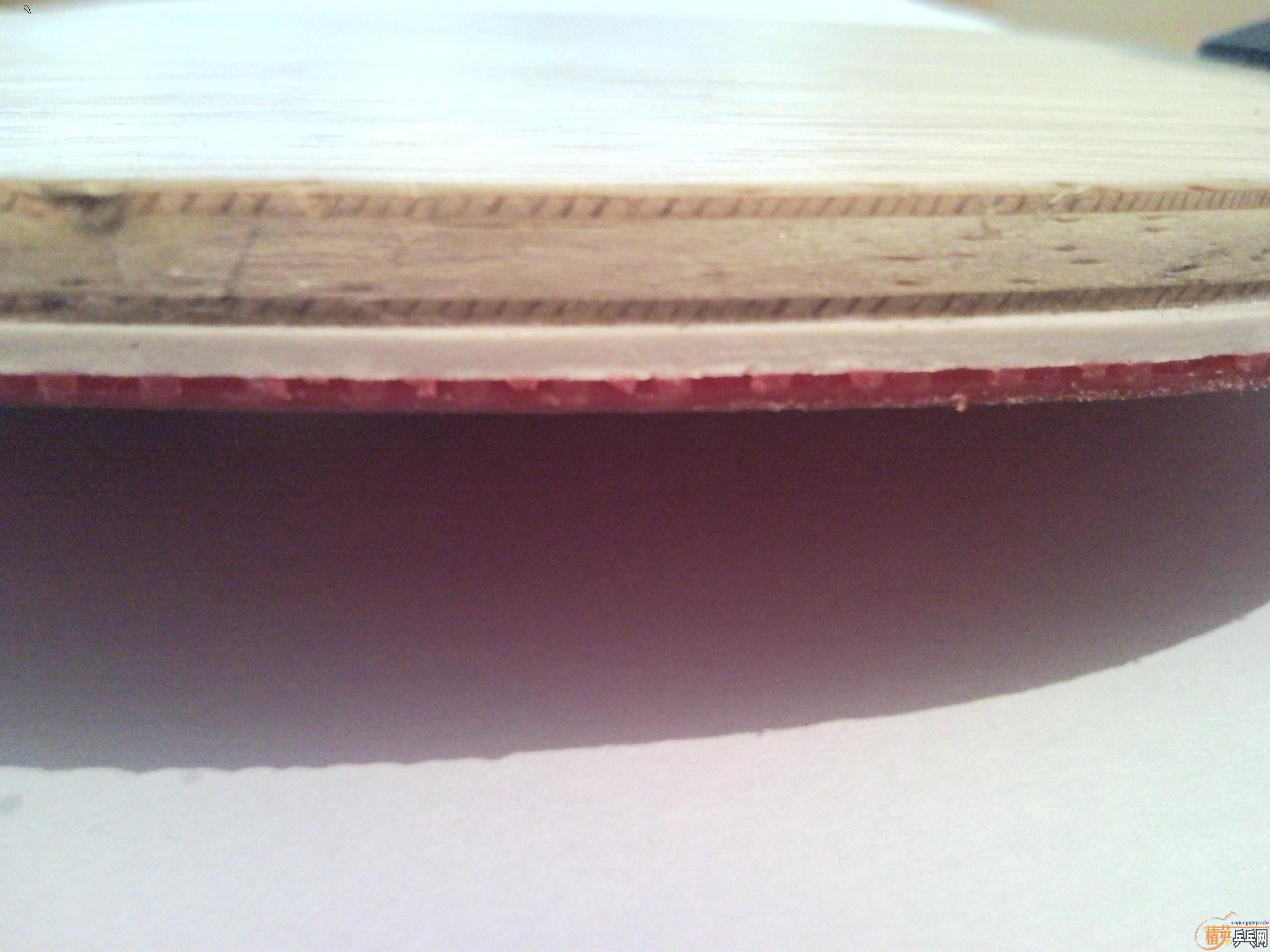 ����������µ»�Ȧ���ӣ��������ż���������Ƥ