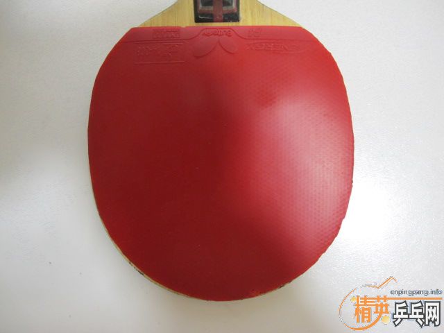 ֧������۳��°�yeo ��xiom�ϰ汩��