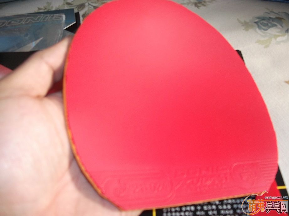 ��ֻ����