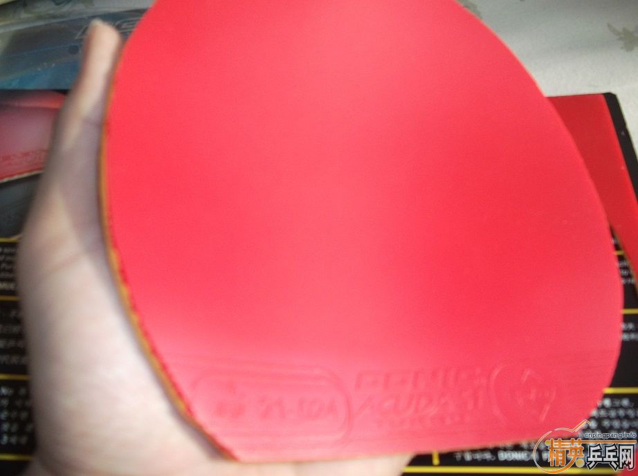 ��ֻ����