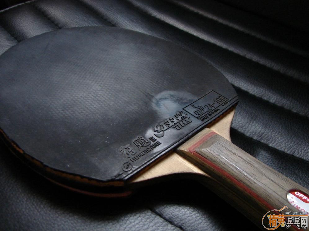 ��ֻ����