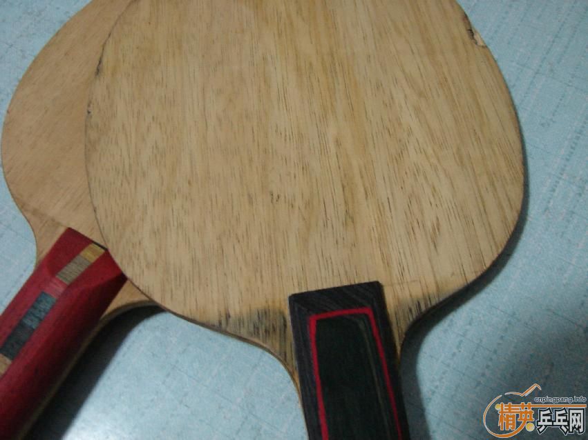 ��ֻ����