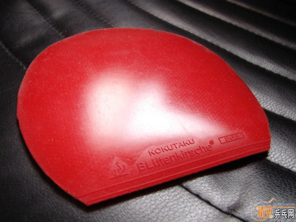 ��ֻ����