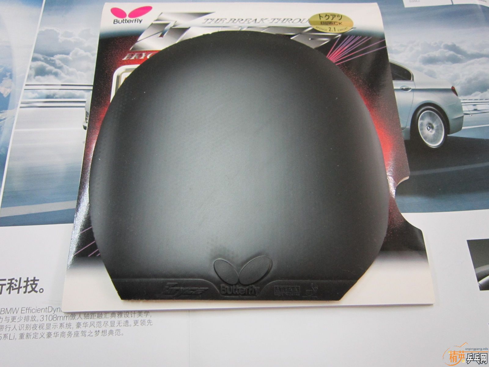 �����Σ����                ����