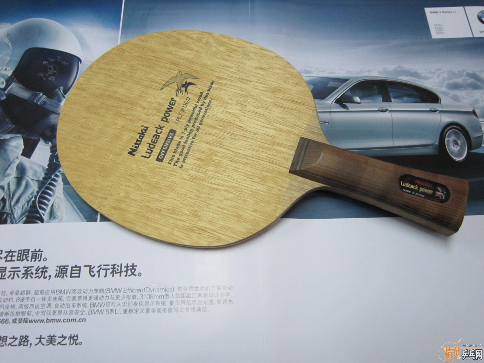 �����Σ����                ����