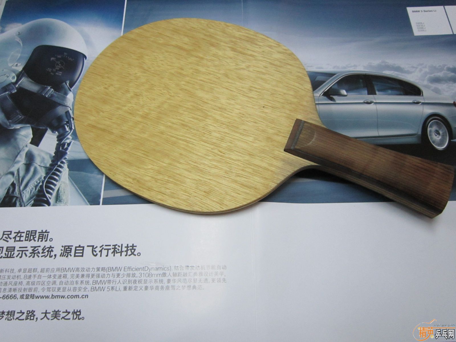 �����Σ����                ����