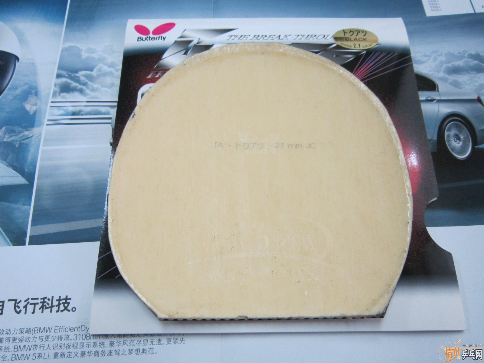 �����Σ����                ����