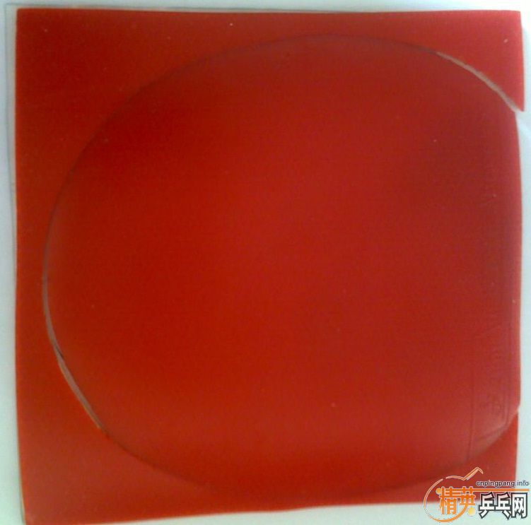 Donic  coppa x1 platin