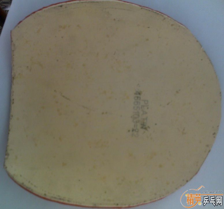 Donic  coppa x1 platin