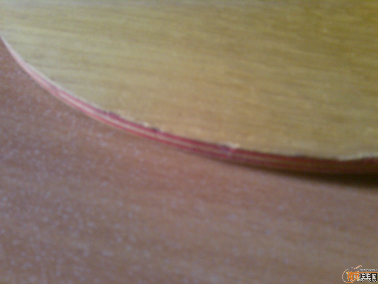 160���ʣ���85g��st������viva�����������׽�