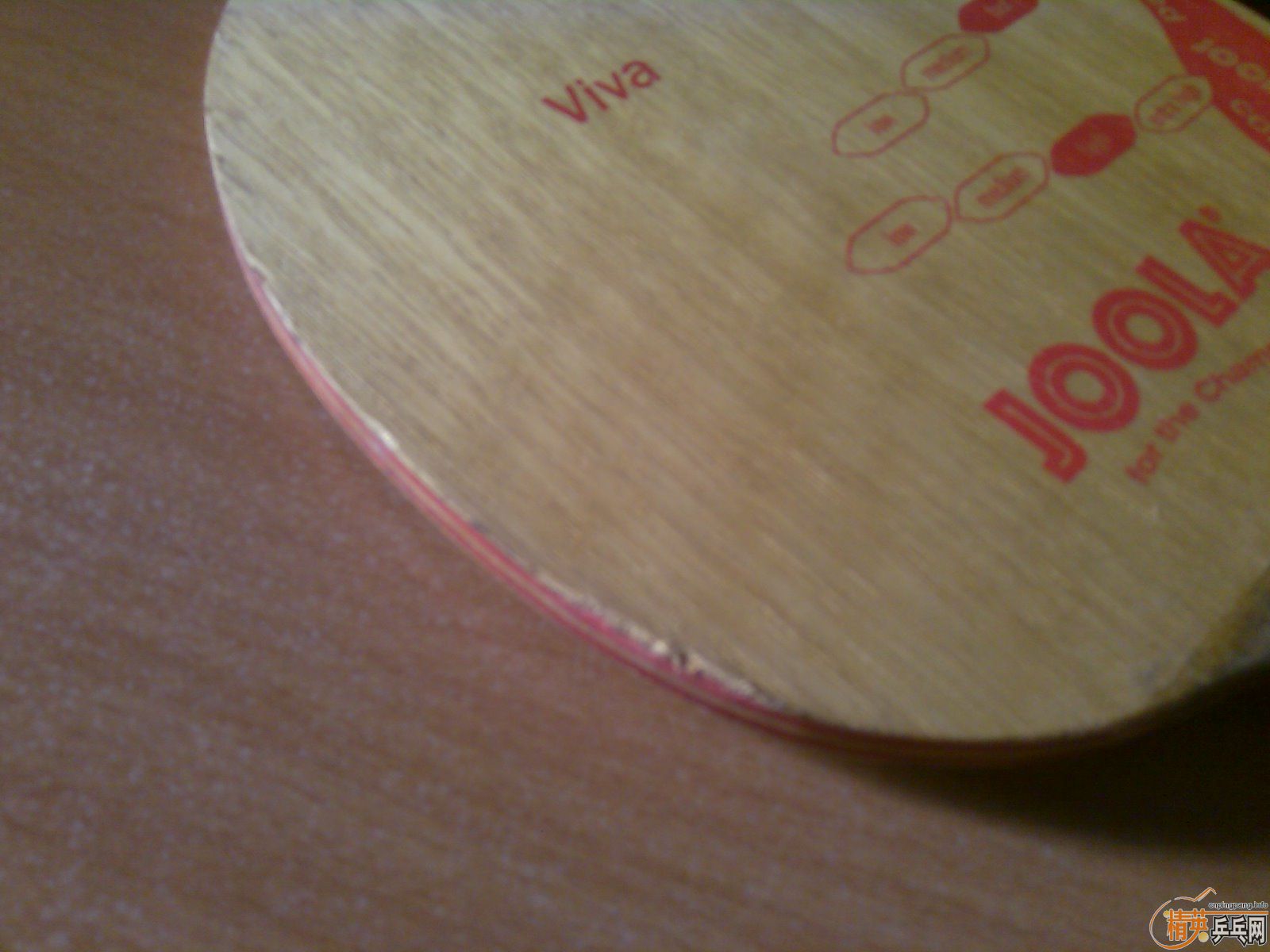 160���ʣ���85g��st������viva�����������׽�