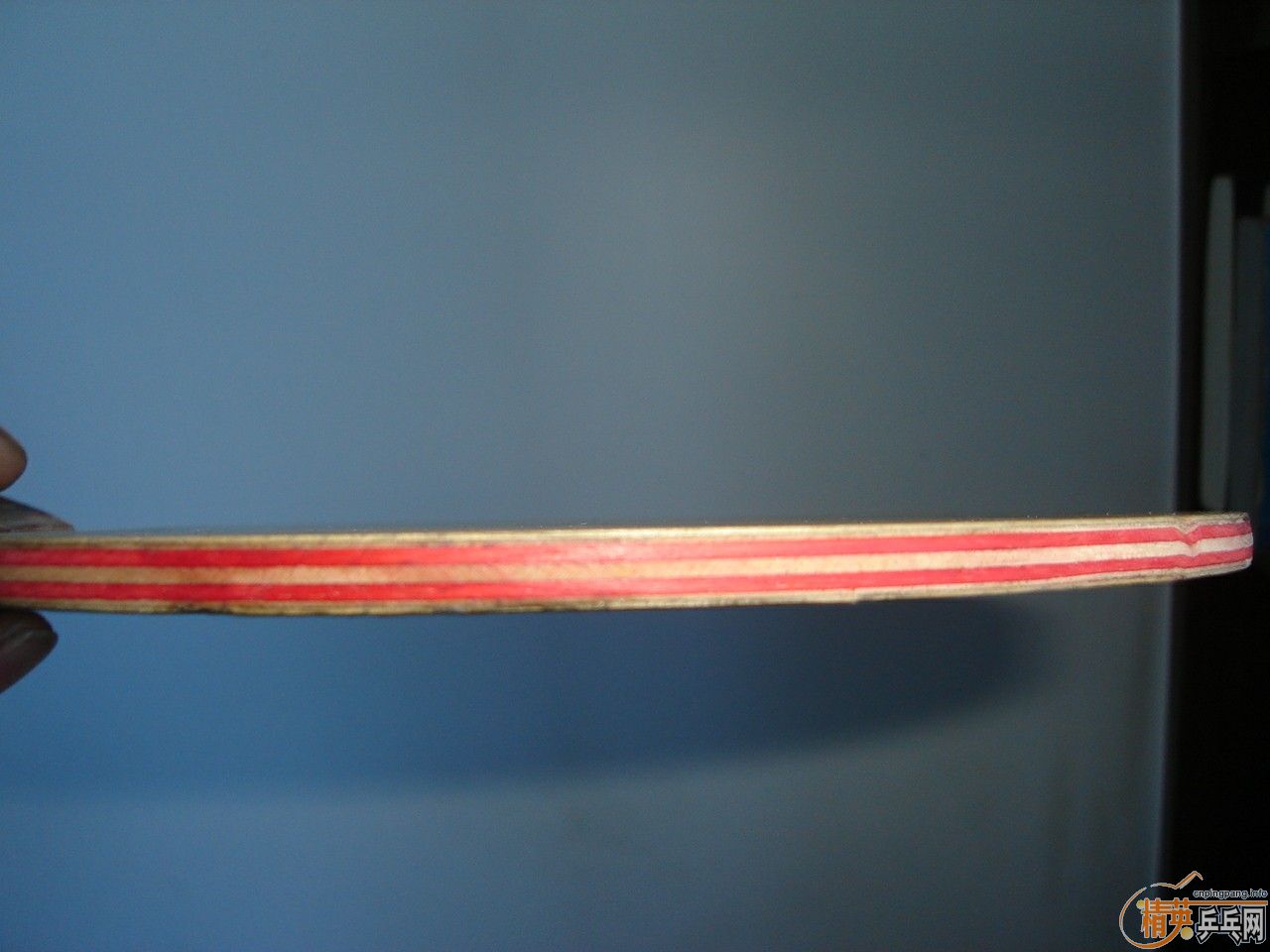 �ȿ�550Ԫ���������ⲣ����