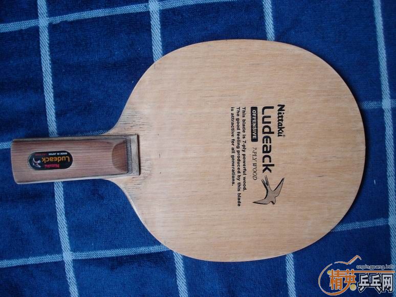 ֧��������  С��