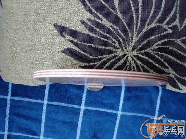 ֧��������  С��