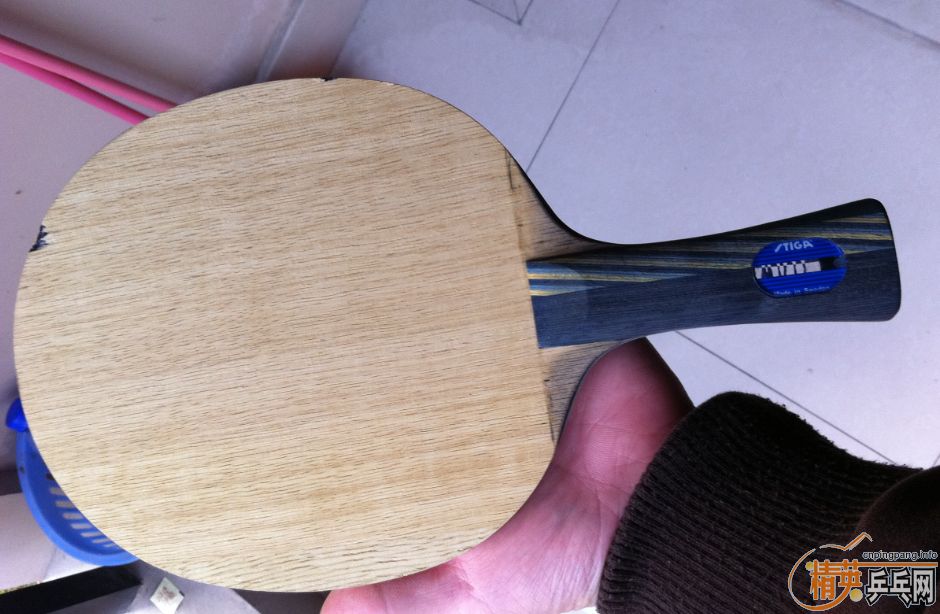 [�Ƽ�]�� EG  ��̼  ֧��������