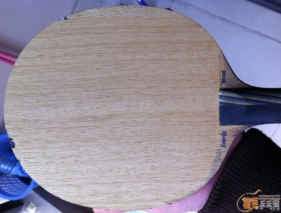 [�Ƽ�]�� EG  ��̼  ֧��������