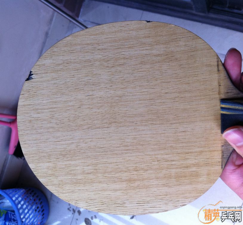 [�Ƽ�]�� EG  ��̼  ֧��������