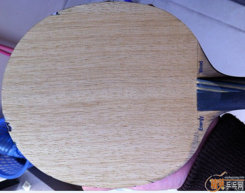 [�Ƽ�]�� EG  ��̼  ֧��������