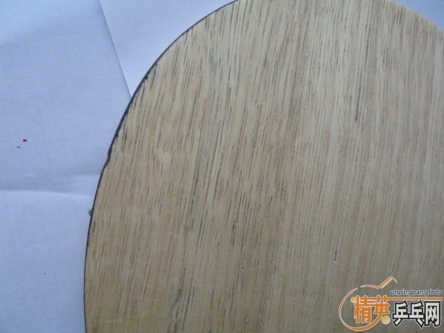 ��EG ST 300 ���� JOOLA ��˹��׼ST  260����